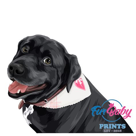 😍 FURBABY ILLUSTRATION OF THE DAY 😍 "The pup-arazzi just love to take