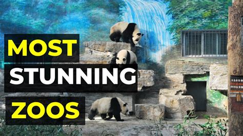 Top 10 Most Amazing Zoos In The World Youtube