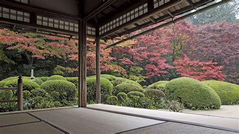 Wallpaper Japan Trees Courtyard Zen Garden 2560x1440 Wall1223