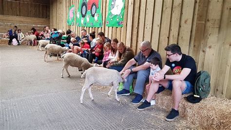 Smithills Open Farm 2019 Bolton Everything You Need To Know Before