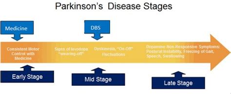 Parkinson's disease is progressive diseases, and it is divided into different stages. Parkinsons Disease Stages Timeline - minimalistisches Interieur