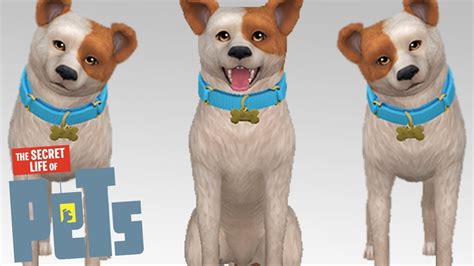 Max The Sims 4 Create A Pet Secret Life Of Pets Youtube