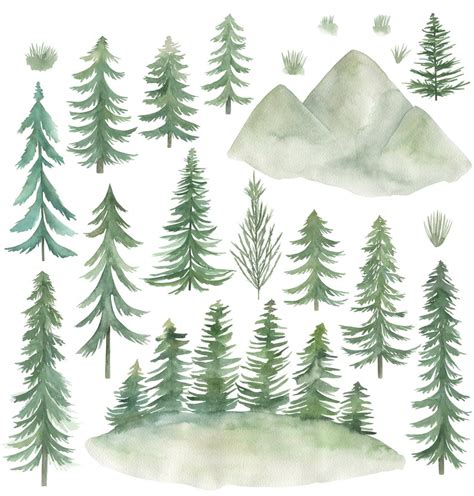 Watercolor Pine Trees Clipart Collection Woodland Pine Trees Etsy