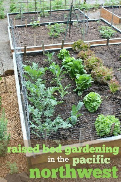 Raised Bed Gardening In The Pacific Northwest Its Time To Start