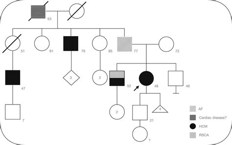 patient mc10 pedigree the proband is a 48‐year‐old woman with hcm and download scientific