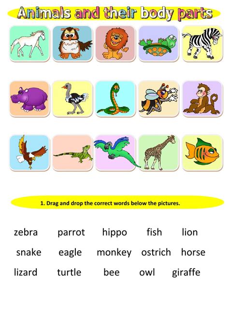Google feud answers what body parts can you. Animals and their body parts worksheet