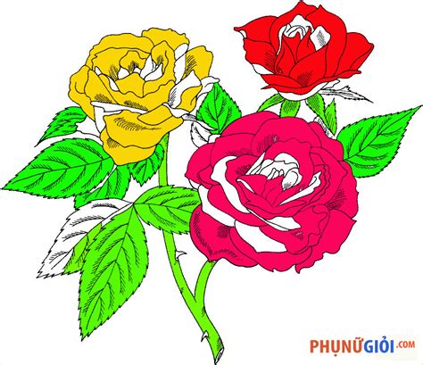 Cách Vẽ Vẽ Bông Hoa Hồng đẹp Nhất Bằng Bút Chì Và Màu Nước