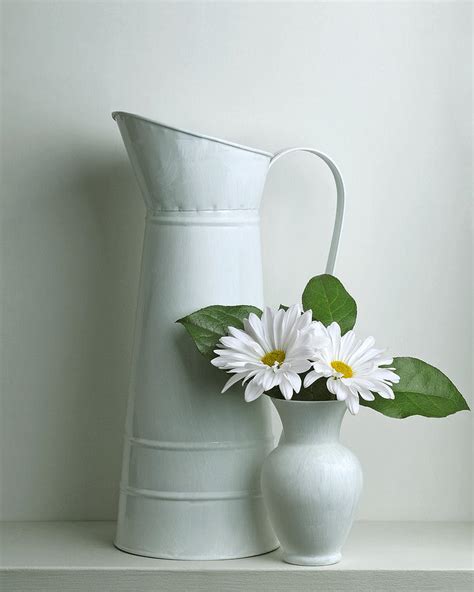 Still Life With Daisy Flowers Photograph By Krasimir Tolev
