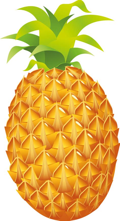 Pineapple Cliparts Pineapple Clipart Png Transparent Png Full Size