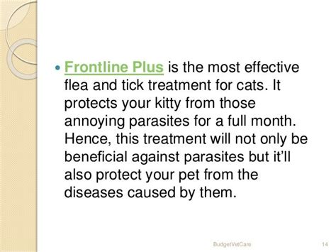 Cat Scratch Fever In Cats Diagnosis And Prevention Budgetvetcare