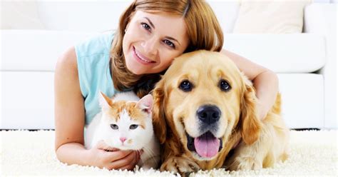 We have proudly served the community of gilroy since 1989. Pet Love Review - Welcome to PetLove