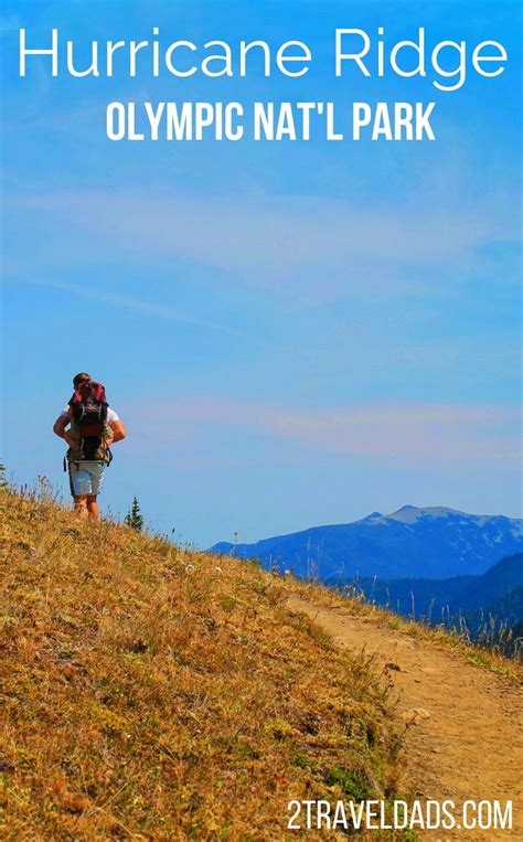 Hiking Hurricane Ridge In Olympic National Park Wildlife And Beautiful