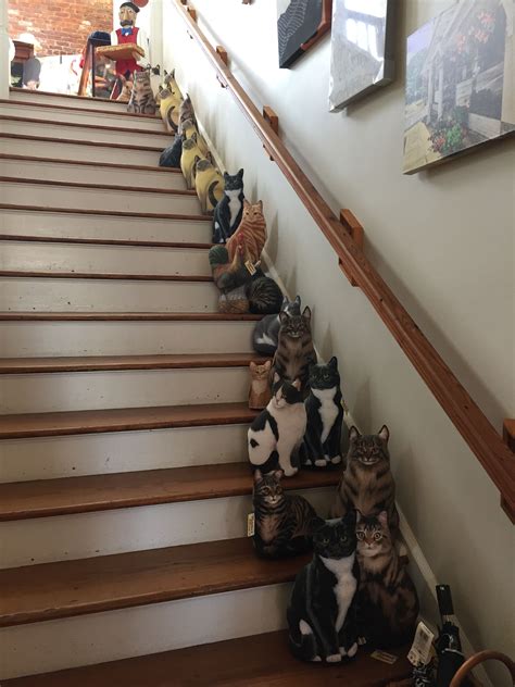 oh my cat home decor stairs
