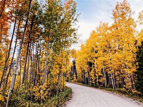 Best Places To Go In Colorado To See Aspens Fall Foliage
