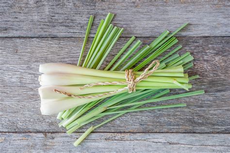 Lemongrass oil can be used in a diffuser for the aroma which helps with moods. Lemongrass: History, Nutrition Facts, Health Benefits ...