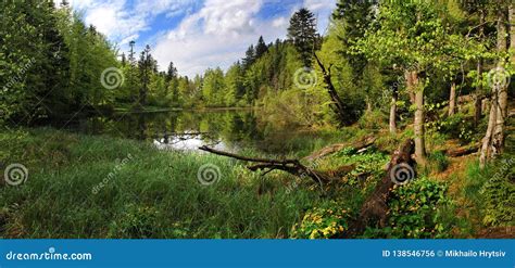 Spring Panorama Of A Forest Lake Stock Photo Image Of Carezza