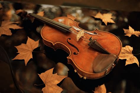 Download Instrument Leaf Fall Music Violin Hd Wallpaper