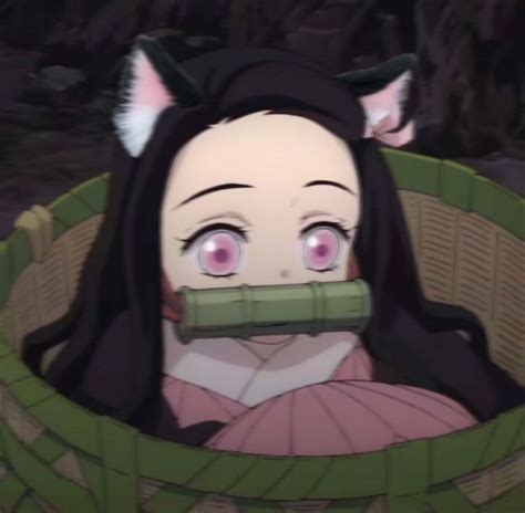⚡︎ ♡̶ ₊ 🥽 Anime Cat Ears Cute Anime Character Anime