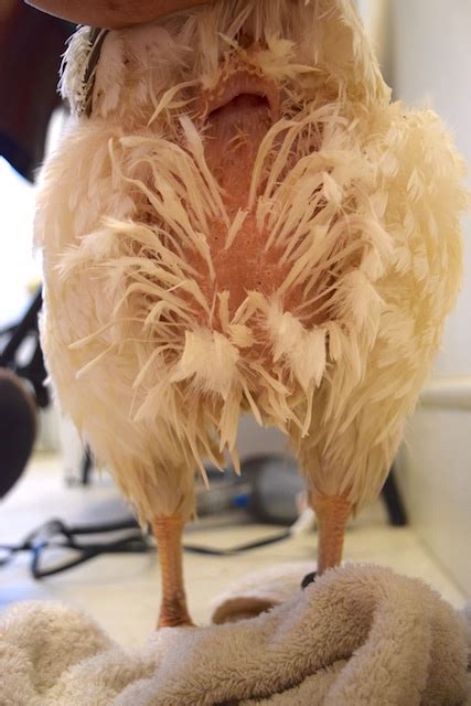 This information has the ability to potentially ruin elements of the plot for the reader. Saved by the Spa Treatment | HenCam