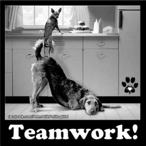 Swahili quotes about love the best love quotes. Pin by Sharon Joanna on TOO FUNNY.... | Teamwork quotes ...
