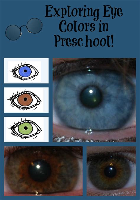 Pin On All About Me Eye Color Graph For The Classroom Sing Laugh