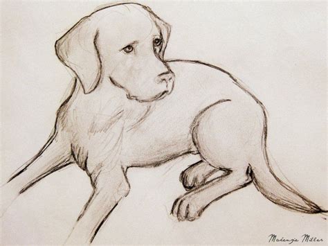 79 Charcoal Dog Drawings Ideas Cute Dog Drawing Animal Drawings Dog Art