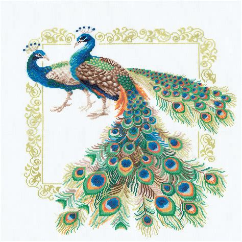 Search Peacock X Count Peacocks Counted Cross Stitch Kit A Cherry O