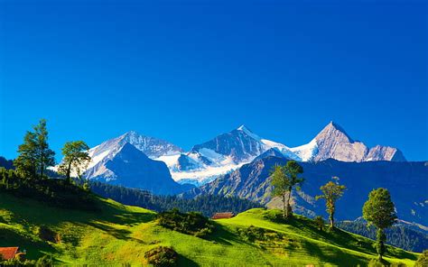 Hd Wallpaper Switzerland Alps Mountains Green Grass Trees Blue