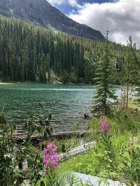 Photos Of Arnica Lake Trail Alberta Canada Alltrails