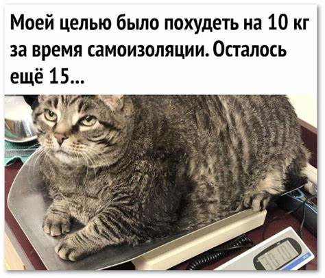 100 диета похудение