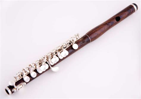 8 Different Types Of Flutes Verbnow