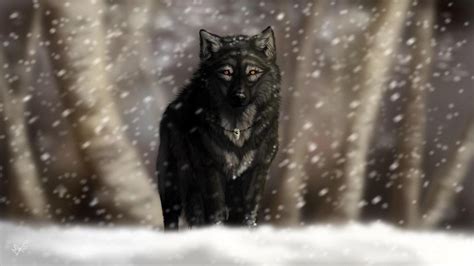 Black Wolf In Snow Wallpapers Wallpaper Cave