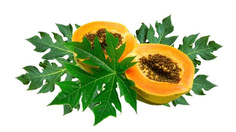 Papaya Png Transparent Image Download Size 960x540px