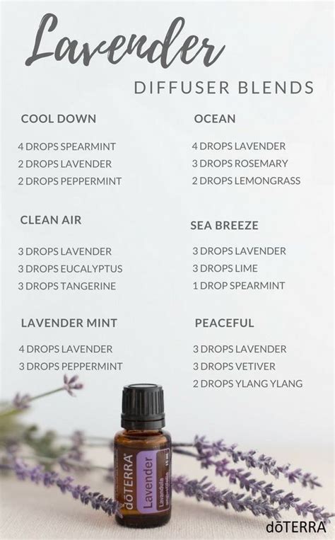 Lavender Is So Relaxing In 2020 Lavender Oil Benefits Lavender
