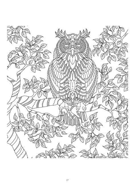 Mind Massage Colouring Book For Adults Coloring Pages Owls Owl Coloring Pages Adult