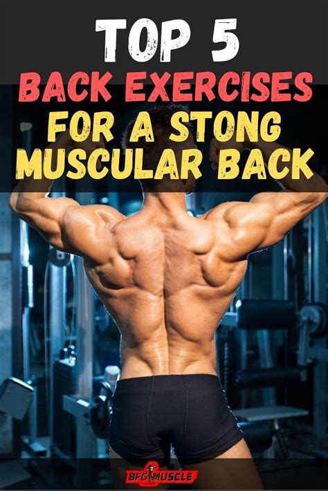 Want To Know How To Build A Strong Back Then Check Out The Best Back