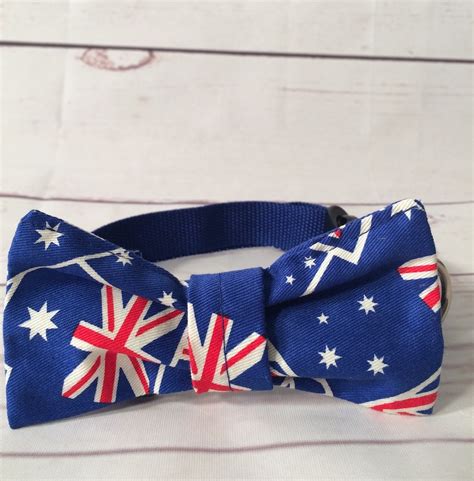 Are batteries needed to power the product or is this product a battery : Australia Day dog or cat collar with removable bandana or ...