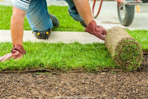 How To Care For New Sod New Sod Care Guide And Mistakes To Avoid