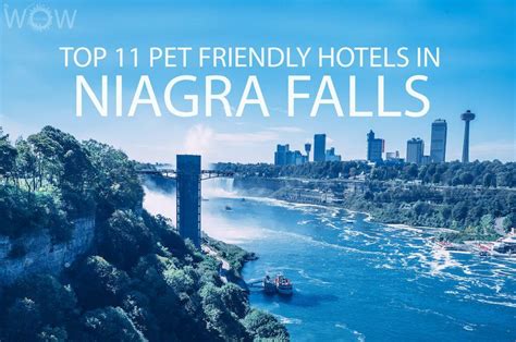 Top 11 Pet Friendly Hotels In Niagara Falls Wow Travel