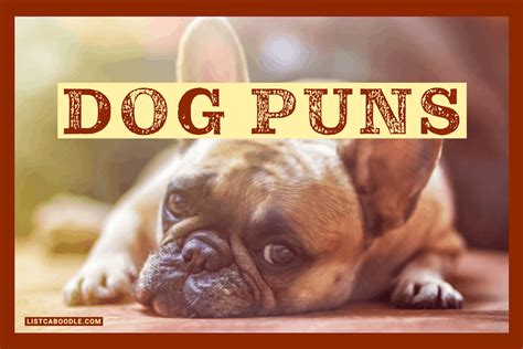 57 Funny Dog Puns Unleashed To Raise The Woof Listcaboodle