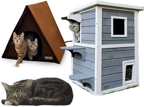 7 Best Outdoor Cat Houses For Multiple Cats Life Falcon
