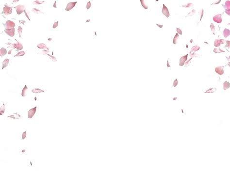 Falling Flowers Png Png Image Collection