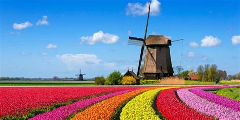 Holland Tulip Travel