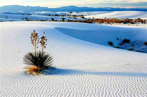 Que Ver En Cuatro Ciénegas Coahuila Glamping Y Camping México Revista