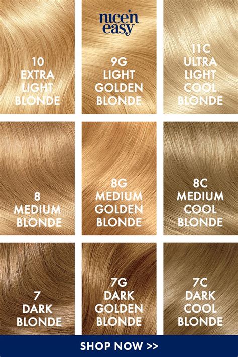 Nice N Easy Blonde Moment Dark Blonde Hair Color Clairol Hair Color Golden Blonde Hair
