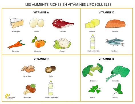 Les Vitamines Liposolubles Les Architectes Du Corps Dossier