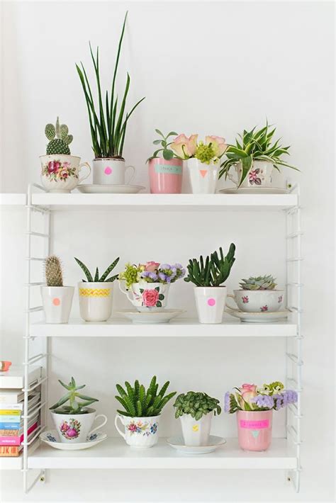 En el artículo de hoy compartiremos algunas ideas para decorar con cactus. 30 ideas para decorar con cactus y terrarios