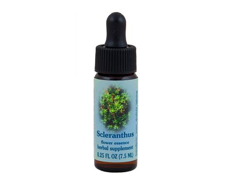 Scleranthus Flower Essence Rebecca S Herbal Apothecary