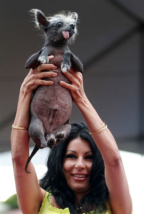 And sometimes, even the ugliest dogs have hearts of gold. The Daily Beast - World's Ugliest Dog Contest - June 24 ...