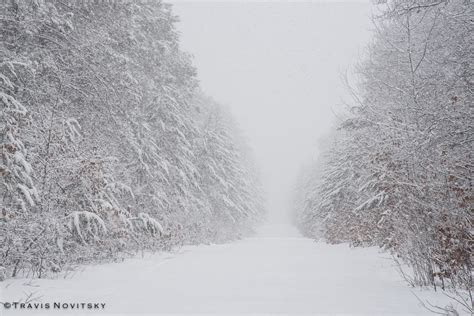 Photography By Travis Novitsky Photo Journal Spring Snow Storm